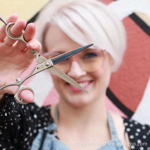 Professional Hair Scissors, Cut Hair Cutting Salon Scissor Makes Barber Thinning Shears Hairdressing Scissors Set